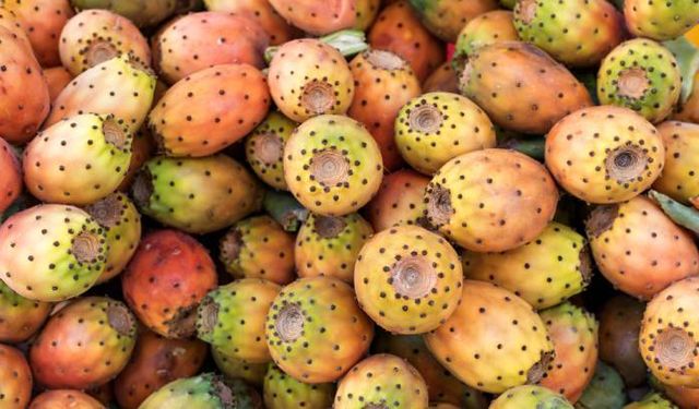 Alanya'da yazın favorisi dikenli incirin tanesi kaç lira?