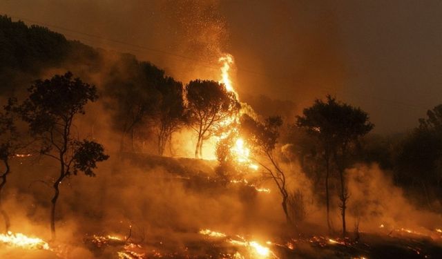 Yangını o mu çıkardı? Yakalayıp gözaltına aldılar