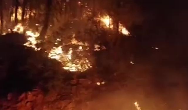 Komşuda yangın paniği! Yoğun çaba sonuç verdi