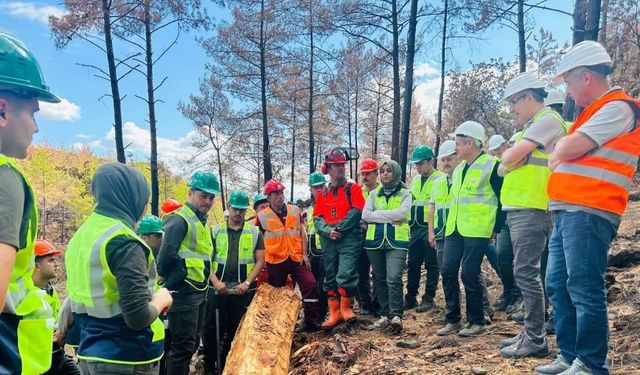 Mesleki eğitim Alanya'da devam ediyor
