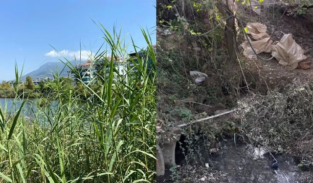 Dimçayı’nda temizlik başladı, Mahmutlar’da kanalizasyon alarmı