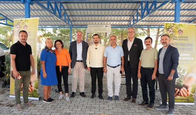Alanya’da yaralar sarılıyor: 3400 zeytin fidanı dağıtıldı