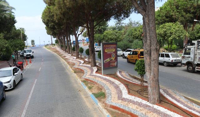 Alanya öncü oldu! Kurakçıl peyzaj, Türkiye geneline yayılıyor