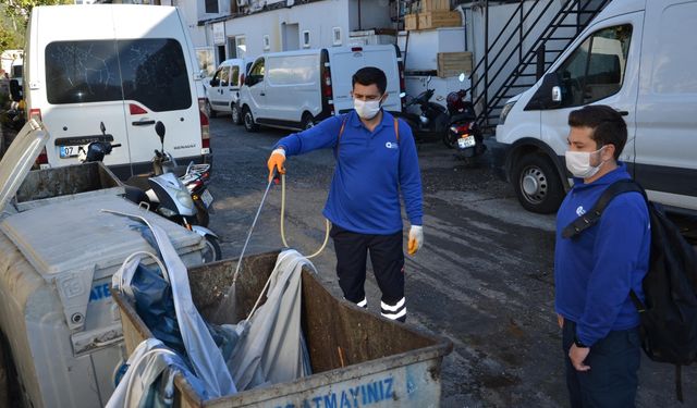 Alanya’da vektörel mücadele aralıksız devam ediyor