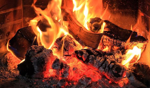 Alanya'da elektrikten kaçanı odunlar yakıyor: Tonu 8 bin TL'ye dayandı