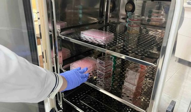 Erken teşhis için Alanya'da "Çip Üstü Organ" teknolojisi