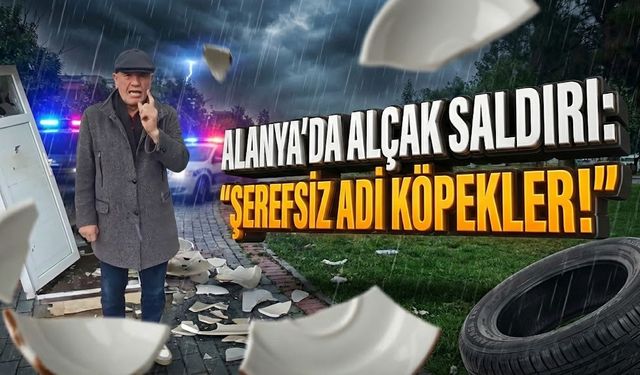 Alanya’da alçak saldırı, muhtar çok kızdı: "Şerefsiz adi köpekler!"