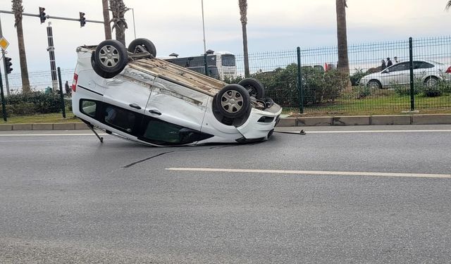 O da neyin nesi? Alanya’da hayatının şokunu yaşadı