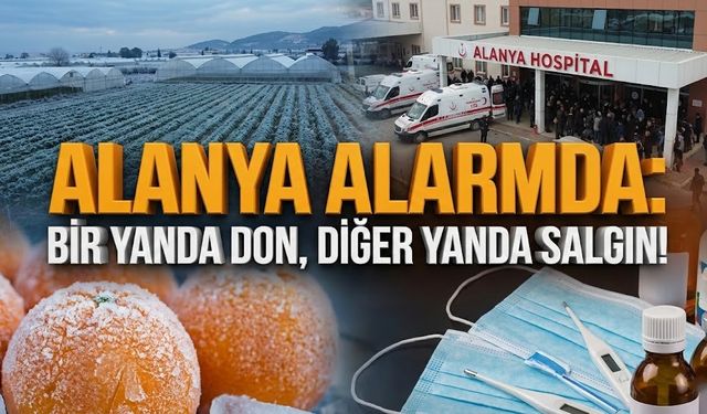Alanya alarmda: Bir yanda don, diğer yanda salgın!