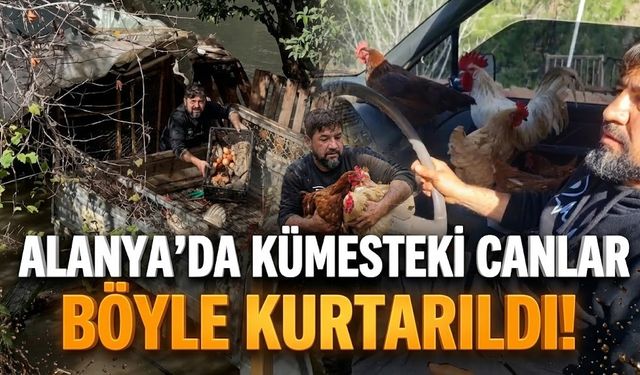Alanya’da kümesteki canlar böyle kurtarıldı!