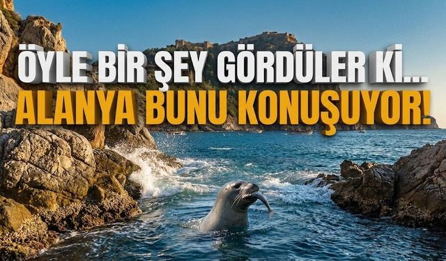 Dünyada sadece 800 tane kaldı: Biri Alanya’da ortaya çıktı