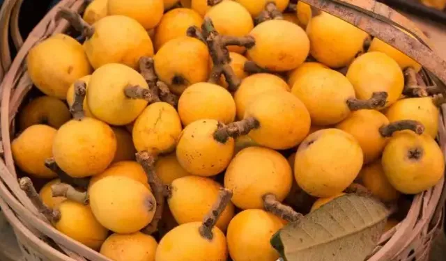 Alanya'da altın değerinde hasat: Kilosu 700 TL!