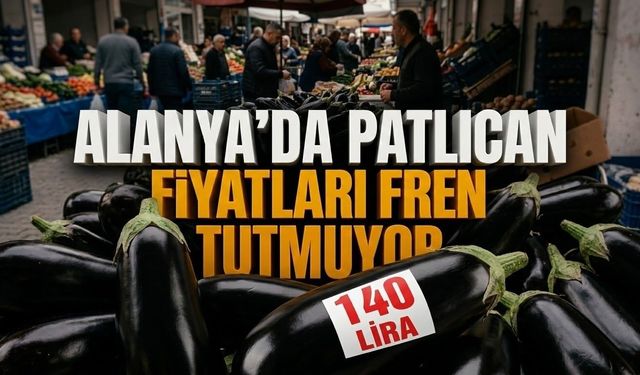 Alanya’da patlıcan fiyatları fren tutmuyor