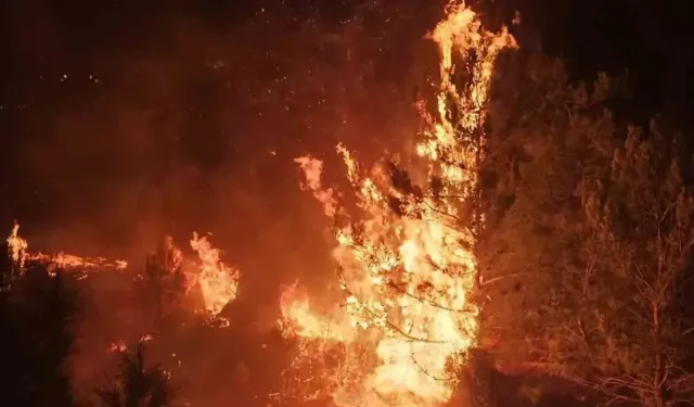 Alanya’da korkutan yangın: Ekipler seferber oldu