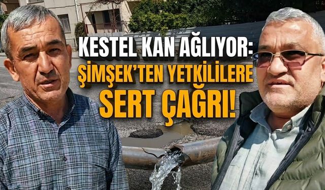 Kestel kan ağlıyor: Şimşek’ten yetkililere sert çağrı!