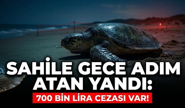Sahile gece adım atan yandı: 700 bin liralık "kaplumbağa" cezası!