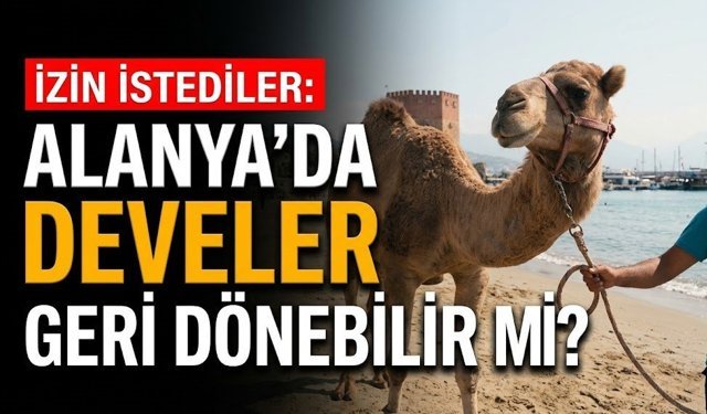 İzin istediler: Alanya’da develer geri dönebilir mi?