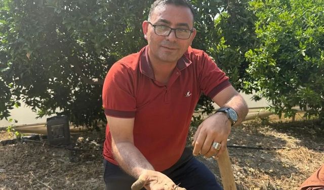 Alanya'da salep devrimi: Kestel'de ilk hasat heyecanı