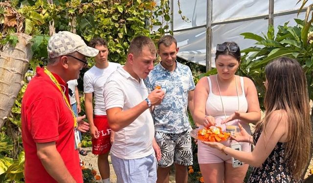 Komşuda tropikal seraya ziyaretçi akını