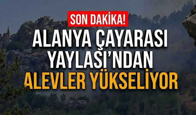 SON DAKİKA! Alanya Çayarası Yaylası'ndan alevler yükseliyor