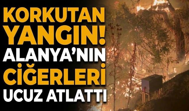 Korkutan yangın! Alanya’nın ciğerleri ucuz atlattı
