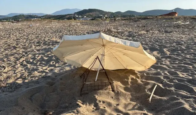 Caretta yuvalarına şemsiye ve şezlong şoku