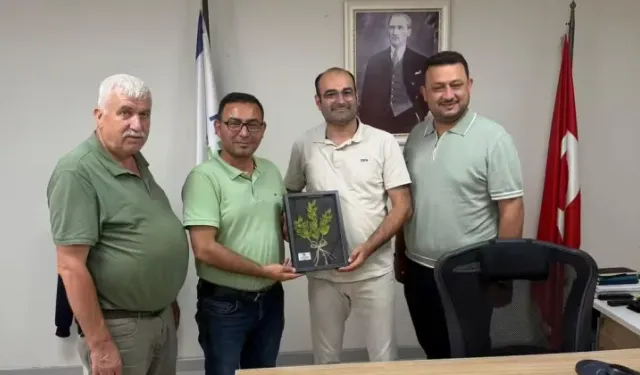 Alanya’da çiftçinin elektrik sorununa çözüm arayışı