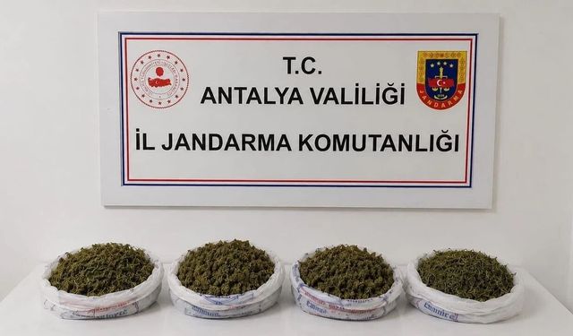 Alanya’da jandarma o adrese şok baskın yaptı