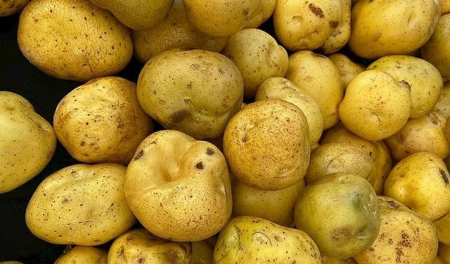 Alanya pazarcısından patates ve soğan isyanı