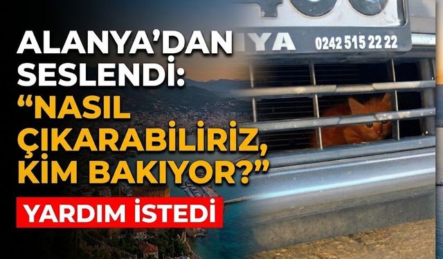 Alanya'dan seslendi: "Nasıl çıkarabiliriz, kim bakıyor?"