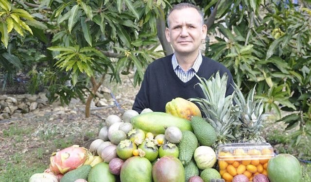 Eşini yaralamış: Alanya'da int*hara kalkıştı, şimdi gözaltında