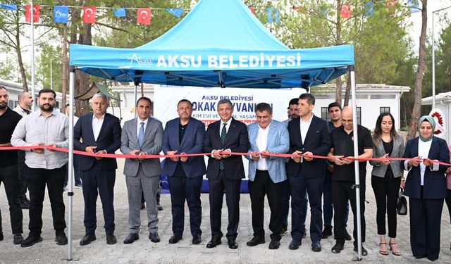 Sokak hayvanları için modern tesis açıldı