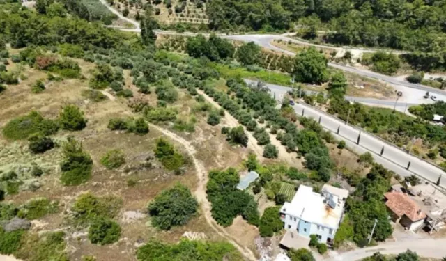 Alanya Okurcalar'da devasa alan satışa çıkıyor