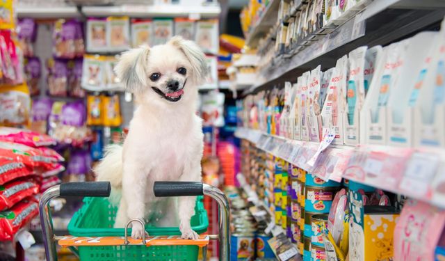Alanya'da petshoplara denetim yapıldı