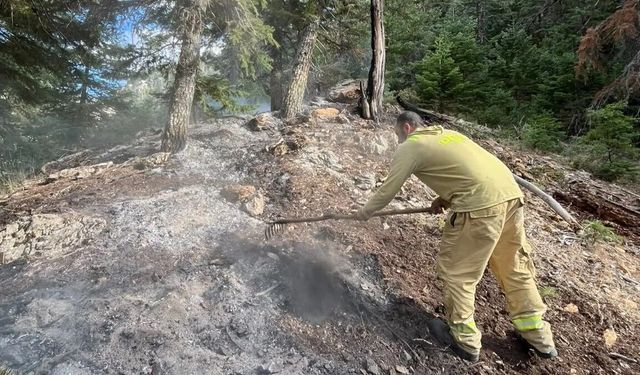 Ekipler seferber oldu! Alanya yaylasında korkutan dumanlar