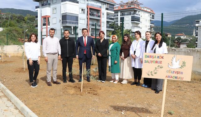 Minik eller, zeytin fidanlarını toprakla buluşturdu