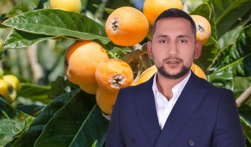 Meyve tedarikçisi Hasan Uyar: “Yenidünya üreticileri bu yıl kazanacak”