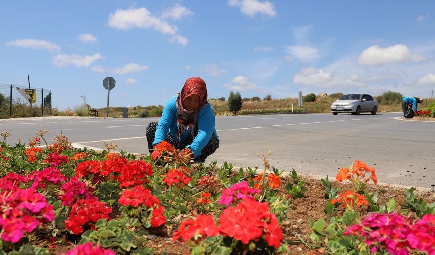 Alanya Belediyesi, kenti çiçek bahçesine dönüştürüyor