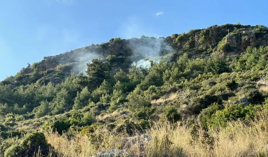 Alanya'da orman yangını alarmı: 3 günlük kritik uyarı