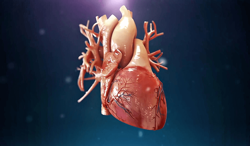 Alanya'da korkutan artış: Kalp krizi artık gençleri de vuruyor