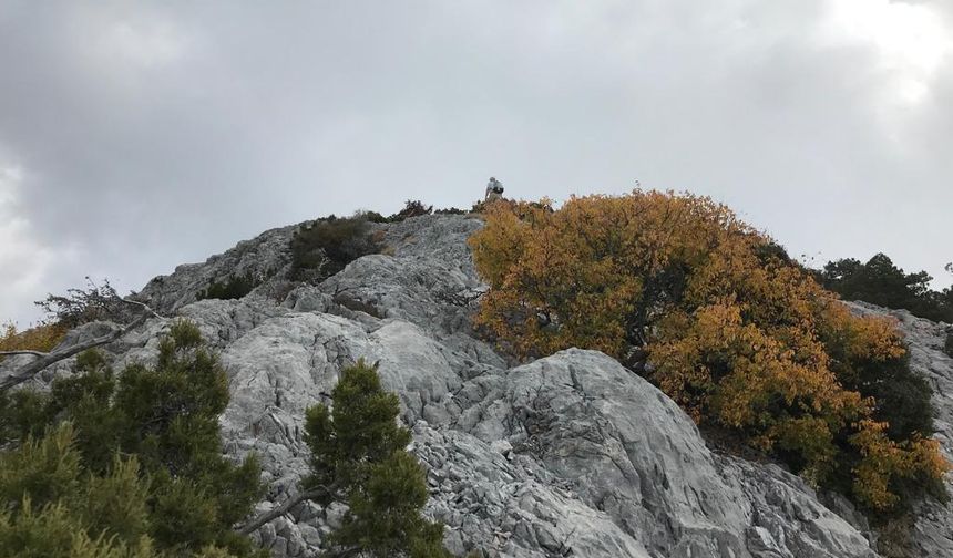 Alanya'da bir anlık dikkatsizlik sonu olacaktı