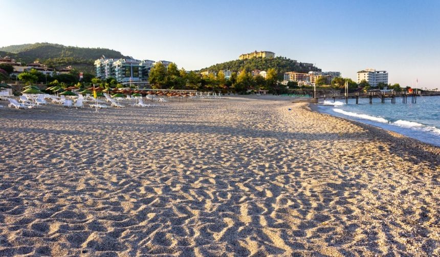 Alanya'da elle temizlik ve mama çağrısı
