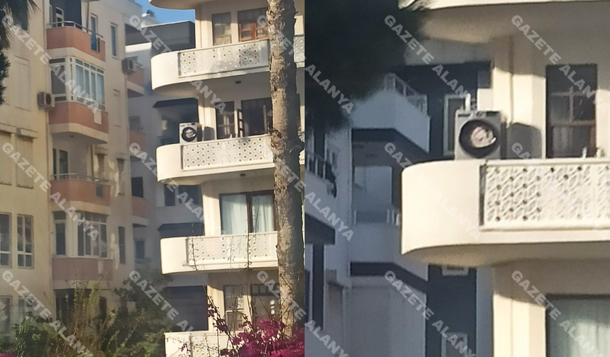 Alanya’da gözlerine inanamadı: “Bu nasıl olur?”