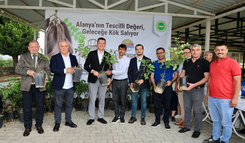 3 bin keçiboynuzu fidanı üreticilere dağıtıldı