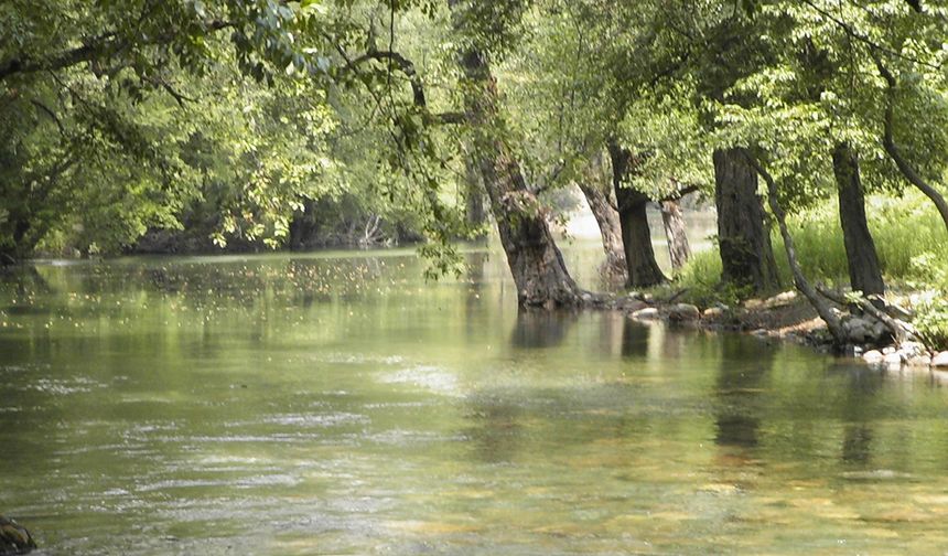 Dim Çayı’nda işgale mahkeme ‘Dur’ dedi