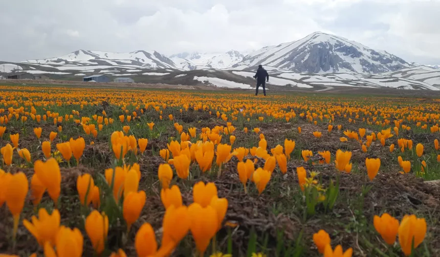 Eğrigöl ve Söbüçimen Yaylası koruma altında