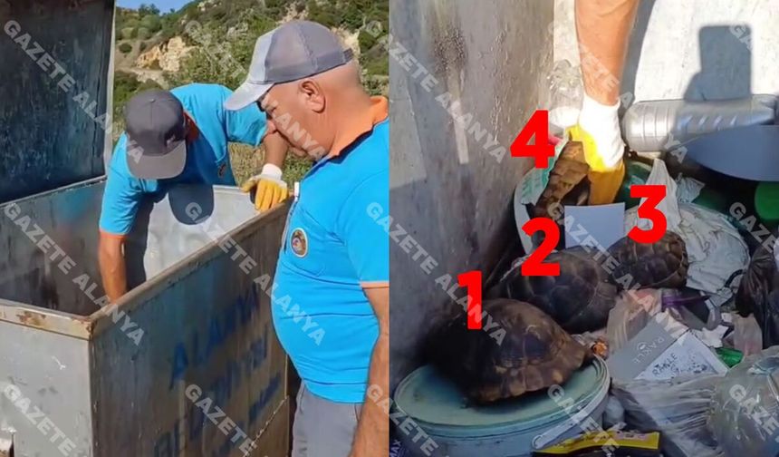 Sınırsız vicdansızlık, iğrenç olay! Alanya'da canlı canlı çöpte bulundular