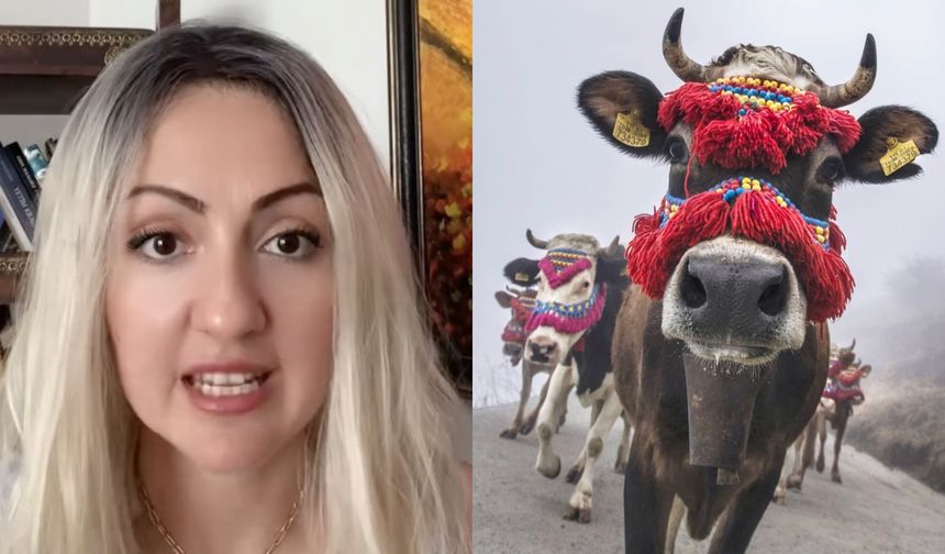Rus gelin medyayı salladı: "Danaya nasıl gireceğiz?"