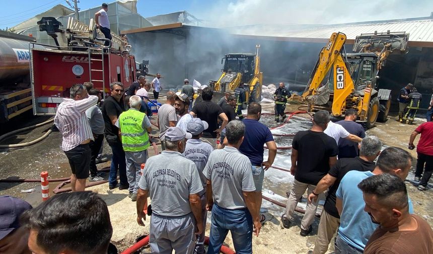 Dumanlar Alanya'dan görüldü: Komşuda dev yangın
