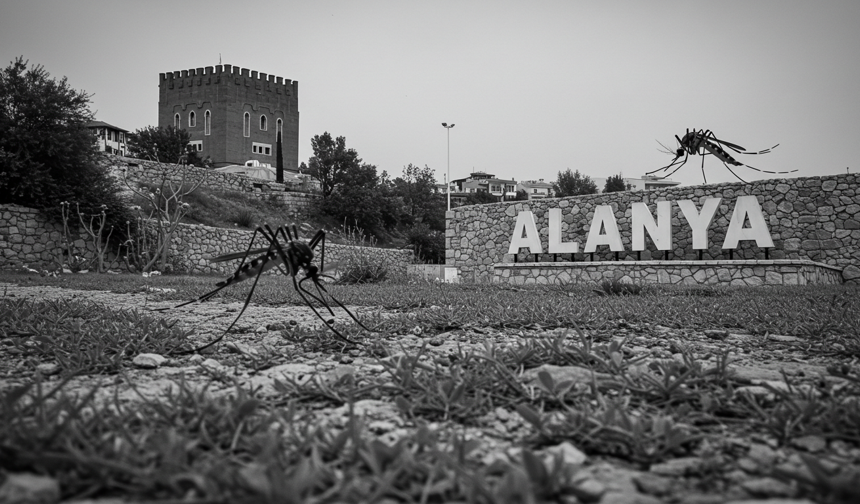 Alanya yazı kaşınarak geçirmesin: Tehlikeye dikkat!
